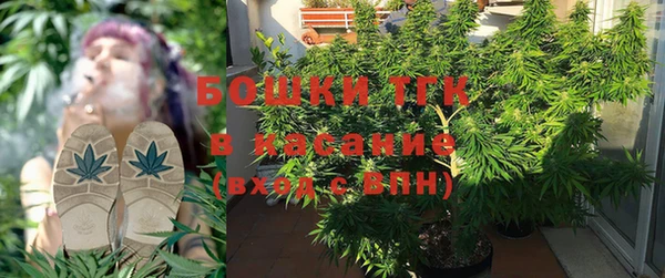 индика Балахна