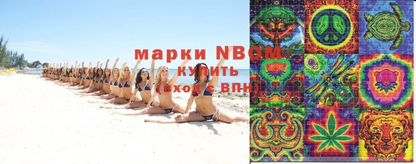 индика Балахна