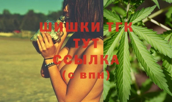 индика Балахна