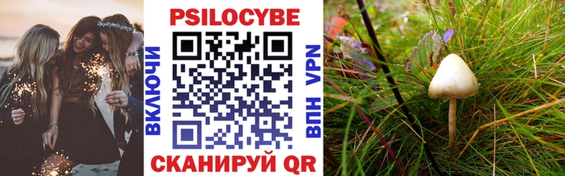 Галлюциногенные грибы GOLDEN TEACHER  Купить  Жуковка 